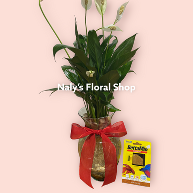 Aquaphonics Vase Planter w/ Betta Fish in Madison WI, Naly's Floral Shop, LLC